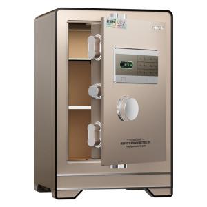 Fingerprint and Password Safe Large