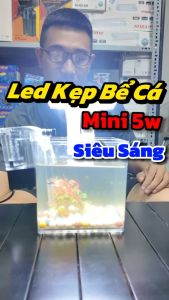 Đèn Led Kẹp Bể Cá Cảnh GEBO GB-X3 5w Cho Bể 20-40cm (3 Chế Độ Màu)