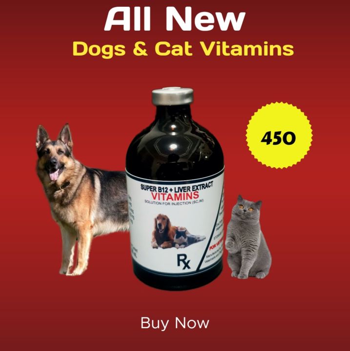 buy injectable b12 shots super b12 vitamins injectablep( dogs & cat ) Dog Cat Injectable Vitamins  Liquid Baby Pet Supplement Small Pets Reptile Fish Bird Vitamins Brown  Cream Aqua Injectable Liquid - Lazada