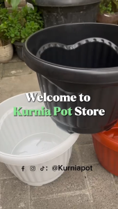 Pot Bunga MIO 35 Hitam Putih Cokelat Bata Wadah Tanaman Hias Buah