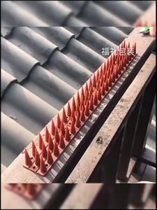 10pcs Plastic Anti bird Spike Against Birds Garden Outdoor Cat Repellent Animal