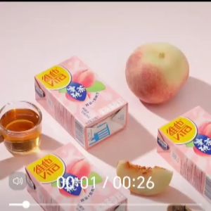 Hong Kong Vita Japan Style Peach Tea 250mlx6pack