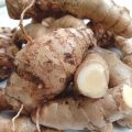 Kunyit Putih Segar 1kg Asli Temu Putih Curcuma Zedoaria Kunir Putih. 