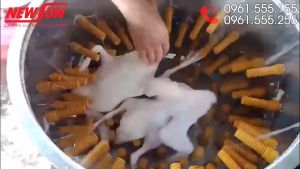 Máy vặt lông gà vịt phi 70cm NEWSUN Hàng chính hãngInox cao cấp năng suất 6-7 con/mẻ - Vặt nhanh sạch  Tặng Phễu cắt tiết gà+ com bo 20 núm vặt lông gà