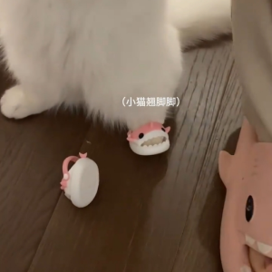 Mini 20cm Cute Cartoon Cat Shoes Shark Shape Pet Slippers Standable Changeable Costume Photo Prop for Small Dogs And Cats