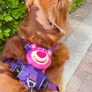 Pet Dog Harness Accessory Squirrel Sticker Dog Leash Strap on Decoration Small Squirrel Stevie Strawberry Bear Poop Bag