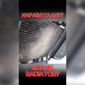 Z1 Z400 Radiator Guard: Protect Your Motorcycle