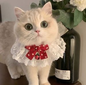 Cute Cat Bib Saliva Towel Dog Bell Collar Pet Decoration