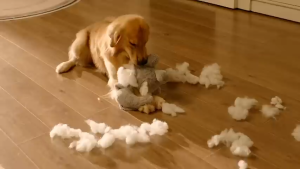 CHEERBLE Wicked Ball Air Smart Automatic Interactive Ball Toy for Medium and Large Dogs