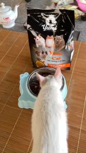 Thức ăn cho mèo - 2 KG hạt nhỏ YUMi thơm ngon bổ dưỡng vị cá hồi