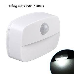 Đèn Ngủ Cảm Biến Chuyển Động Sử Dụng Pin AAA Dán Được Mọi Nơi Tự Động Bật/tắt Ánh Sáng Dịu Nhẹ Dùng Cho Tủ Quần Áo Đầu Giường Phòng Tắm - Tùy Chọn Gói 1/3/6 Chiếc