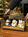 Japanese Style Fortune Cat Decoration Shop New Store Opening Gift High-End Practical Decoration Birthday Gift Ceramic Fortune Cat. 