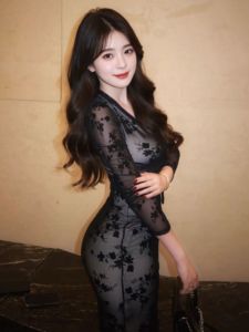 CHANGTONG | V-Neck Lace Bodycon Pencil Dress