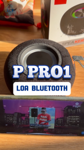 Loa Bluetooth P Pro 1 Đẳng Cấp Âm Thanh Phù Hợp Ngoài Trời Công Suất 10W Phát Nhạc Liên Tục Nhiều Giờ