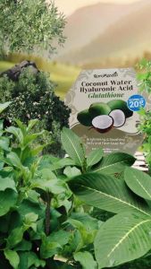 Skinpower Niacinamide Coconut | Exclusive Soothing Bar Anti-aging & Area Mata Untuk Wanita Aktif