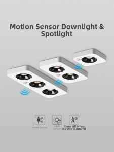 DENGFU | Entrance Sensor Light Wall-mounted Recessed Spot Light