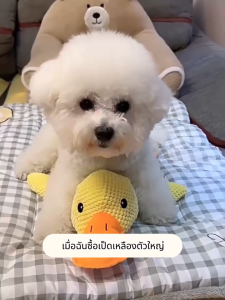 ตุ๊กตาบีบๆนุ่มนิ่มมีเสียง ของเล่นสุนัข ของเล่นตุ๊กตาสุนัข สําหรับสัตว์เลี้ยง สุนัข ของเล่นหมา ของเล่นตุ๊กตาสัตว์เลี้ยง