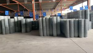 Original 1Meter Height 5Meter Length Birdcage Net Quail Breeding Pigeon Welding Rolling Chicken Household Rabbit Cage Galvanized Iron Wire Parrot