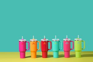 Stanley Quencher H2.0 FlowState Stainless Steel Vacuum Insulated Tumbler with Lid and Straw for Water Iced Tea or Coffee Bingba Cup