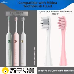 Midea Electric Toothbrush Head S5 Roman Column Special Replacement Head Early June Suitable for Adult Deep Cleaning