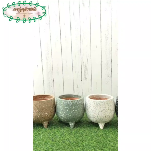 Pot Terracotta Pot Pohon Model Terraso Variasi Warna Dekorasi Ruangan Aesthetic