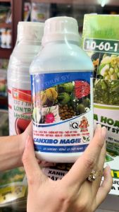 Phân Bón CANXIBO MAGIE Thụy Sỹ Giúp Hạn Chế Rụng Hoa Và Trái Non To Trái Trái Sáng Bóng Đẹp Màu - Chai 500ml