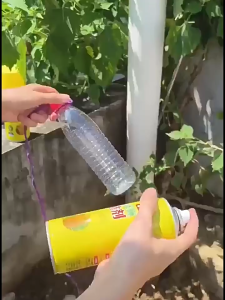 260ml 450ml Lem Perekat Lalat Buah Insect Adhesive Lem Perangkap Lalat