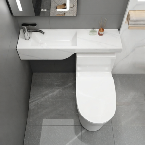 NIUNAISI | Integrated Toilet and Basin Seamless Sink