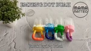 Empeng Dot Buah Bayi Usia 6-9 Bulan / Food Fruit Feeder / Teether Buah Gigitan Bayi Warna Biru Pink Kuning Hijau