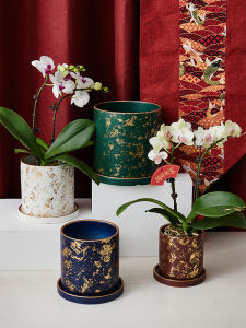 Porcelain Ventilated Butterfly Orchid Pot Single Plant Substrate Exquisite Small Flower Pot Chinese Style Desktop Ornament