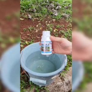 Pupuk Booster 76 kemasan 100ml  pupuk organik pemicu bunga dan buah tanaman