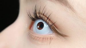 【COD & ready stock】Eyeshare คอนแทคเลนส์คอสเพลย์ 1 คู่ คอนแทคเลนส์สีคอสเพลย์ สีดำ สีขาว 1 ปี