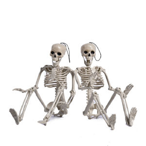 40/90CM Active Human Skeleton Model Anatomy Skeleton Skeleton Model For Medical Learning 1 Piece