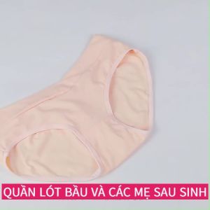 Quần lót bầu cotton và sau sinh cạp chéo siêu thoáng mát hàng đẹp QLB5765