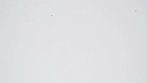 1PC Nha Khoa Chỉnh Nha Giảm Men Răng Liên Kề Dải Cát Hai Mặt Cưa Thép Nha Khoa Đánh Bóng Dải