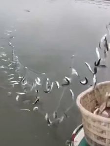 Jaring ikan tiga lapis berkualitas tinggi jaring lengket memancing jaring kawat tinggi 12 meter panjang 20 meter jaring tenggelam menebal tertimbang jaring mengalir
