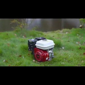 REAIM 4-Stroke Gasoline Engine 168F Model 8.5HP High Efficiency Air Cooled Motor for Farm Equipment