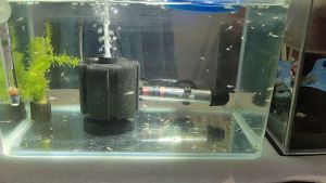 กรองฟองน้ำตู้ปลา กรองฟองน้ำ รุ่นxy-180 xy-280 ใช้ต่อกับปั๊มลม ดักจับตะกอน ลดกลิ่น ให้น้ำใส ไม่ต้องเปลี่ยนน้ำบ่อยๆ