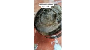 BANG SITRUN Serbuk Pembersih Multifungsi Anti Bakteri Bebas Sulfat 250gr