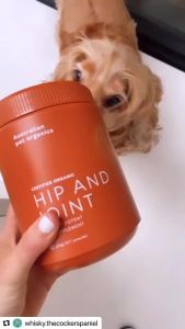 Australian Pet Organics Organic Wellness Supplement for Dogs - Digestive & Skin Health Support - Probiotics Calm Support GLMP RosehipCollagen