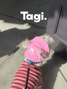 Tagi. Haha Pet Bucket Hat