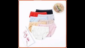 Celana Dalam Wanita Bahan Katun - Cd Brief Elastis - Pakaian Dalam wanita 375 IMPORT