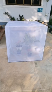 มุ้งกันแมลง มุ้งครอบต้นไม้ มุ้งครอบกรง​ มุ้งครอบอาหาร #ซักได้ มุ้งไนล่อน​ ตา​ 32/นิ้ว​