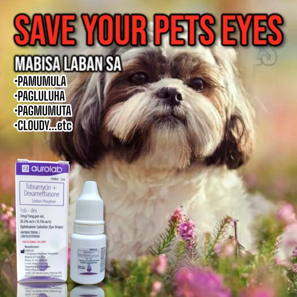 Tobramycin ear outlet drops for dogs