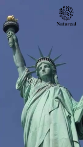 [NATUREAL]Botanical Extract Bye-Pimple Patch – Hydrocolloid Acne Spot Treatment Rawatan Bintik Jerawat