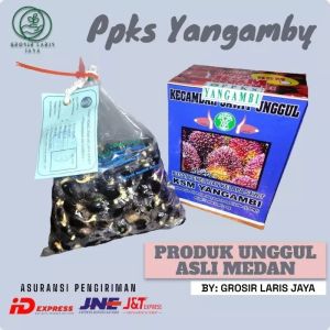 benih bibit sawit PPKs varietas medan buah besar