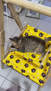 Anti-Rollover Solid Wood Swing Bed For Pet / Cat Hammock / Double Deck