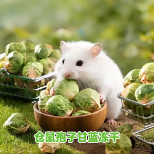 Bắp cải sấy Jonsanty Dành cho Hamster và Sóc - T3 PETS SHOP