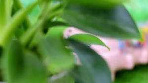 ProudNada Toys ของเล่นเด็ก หนอนน้อย ชนถอย(มี 2 สีให้เลือก) GEAR CATERPILLAR NO.6608-19B