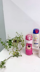 Elsa Spider Man Nick Childrens Thermos Cup High-value Men Women Double Drinking Cup Cute Students School Straw Water Cup